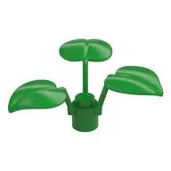 Plant, 1 x 1 x 2/3 - 3 Large Leaves