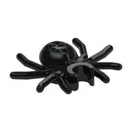 Insect, Spider