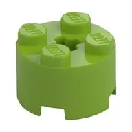 Brick Round 2 x 2 with Axle Hole