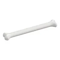 Animal Body Part, Dog Bone [Long]