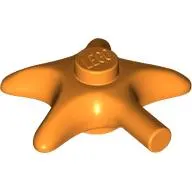 Animal, Starfish