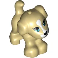 Animal, Dog, Small Standing with Blue Eyes, Black Nose and Mouth, and White Patch between Eyes Print