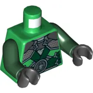Torso Robe, Shoulder Armor with Dark Green Belts and Dragon Emblem Print, Dark Green Arms, Black Hands