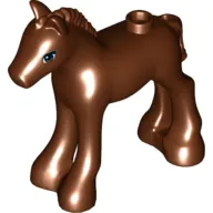 Animal, Horse / Foal, with Brown Eyes and Black Eyelashes Print