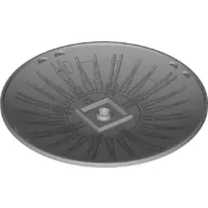 Dish 10 x 10 Inverted (Radar) with Radiating Spokes Print on Convex Side