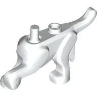 Animal Body Part, Dog Body