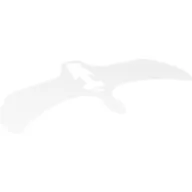 Wings, with White, Gray, and Blue Lightning Print