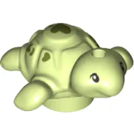 Animal, Turtle, Baby with Olive Green Hearts