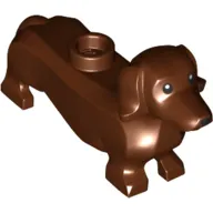Animal, Dog, Dachshund, Black Eyes Nose and Print