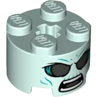 Brick Round 2 x 2 with Axle Hole with Ghost Face Print
