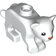 Animal, Cat / Cub with Pink Nose Print