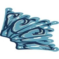 Wing, Right, Dark Blue Vanes print