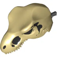 Animal Body Part, Dinosaur, Tyrannosaurus Rex Head with Pin, Skull Print