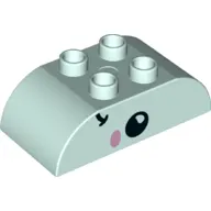 Duplo Brick 2 x 4 Curved Top with Fish Face Print