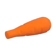 Plant, Carrot