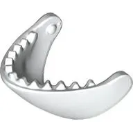 Animal Body Part, Whale, Jaw