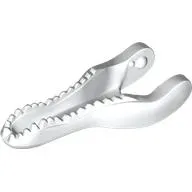 Animal Body Part, Dinosaur, Baryonyx Lower Jaw [Plain]
