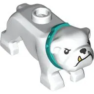 Animal, Dog, Bulldog with Tan Fangs, Dark Turquoise Collar
