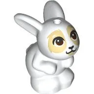 Animal, Rabbit / Bunny Sitting with Dark Brown Eyes, Tan Face print