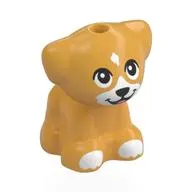 Animal, Dog Pup with White Face, Paws, Black Eyes, Nose print