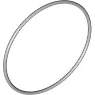 Technic Rubber Belt Extra Large [Round Cross Section]