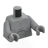 Torso, Light Bluish Gray Arms and Hands with print