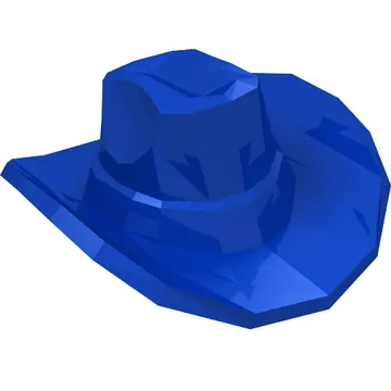 Hat, Cowboy with Gold Star Print