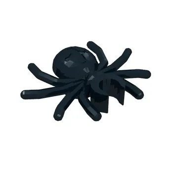 Insect, Spider