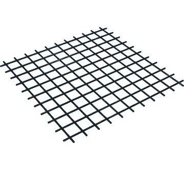 Net 10 x 10 Square