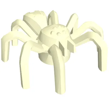 Insect, Spider with Elongated Tail Section
