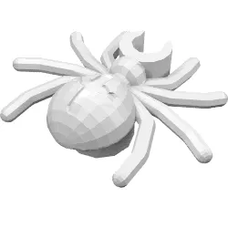 Insect, Spider