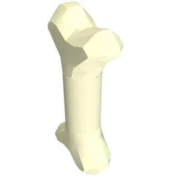 Animal Body Part, Dog Bone [Short]