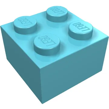Brick 2 x 2