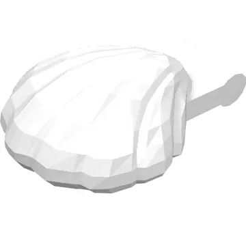 Animal, Clam [Type 1 - Continuous Scalloped Inner Lip]