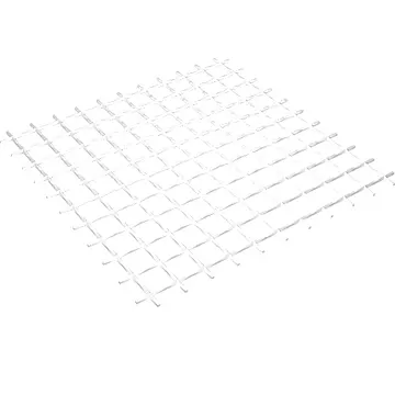 Net 10 x 10 Square