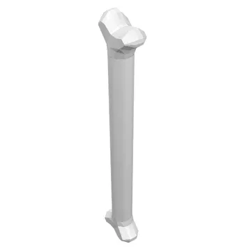 Animal Body Part, Dog Bone [Long]
