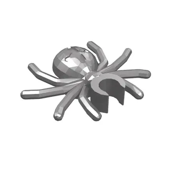 Insect, Spider