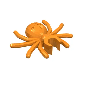 Insect, Spider