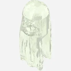 Costume Ghost Shroud