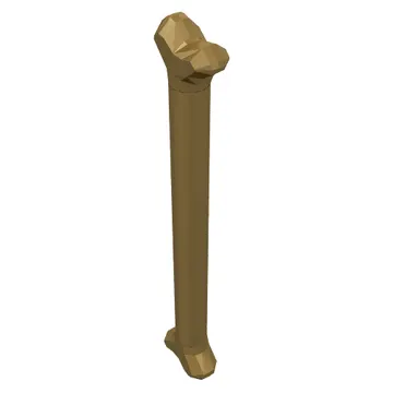 Animal Body Part, Dog Bone [Long]