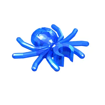 Insect, Spider