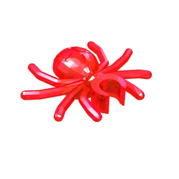 Insect, Spider
