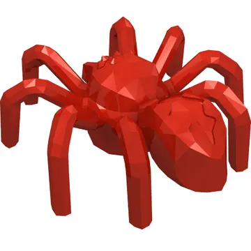 Insect, Spider with Elongated Tail Section