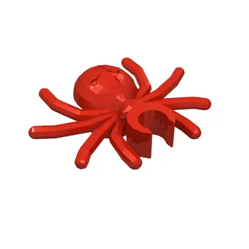 Insect, Spider