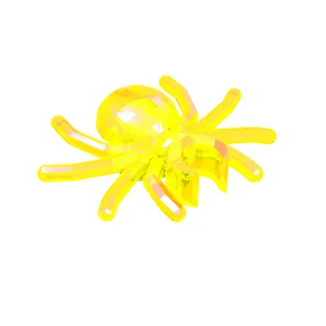 Insect, Spider
