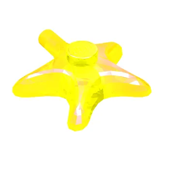 Animal, Starfish