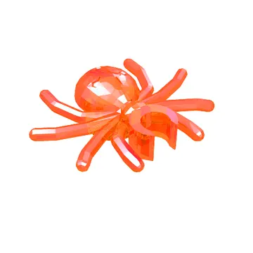 Insect, Spider
