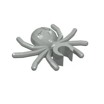 Insect, Spider