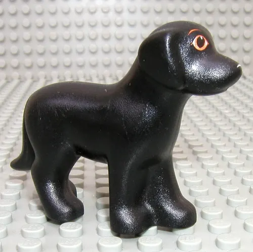 Animal, Dog, Standing with Eyes and White Nose Print