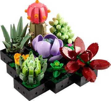 Succulents